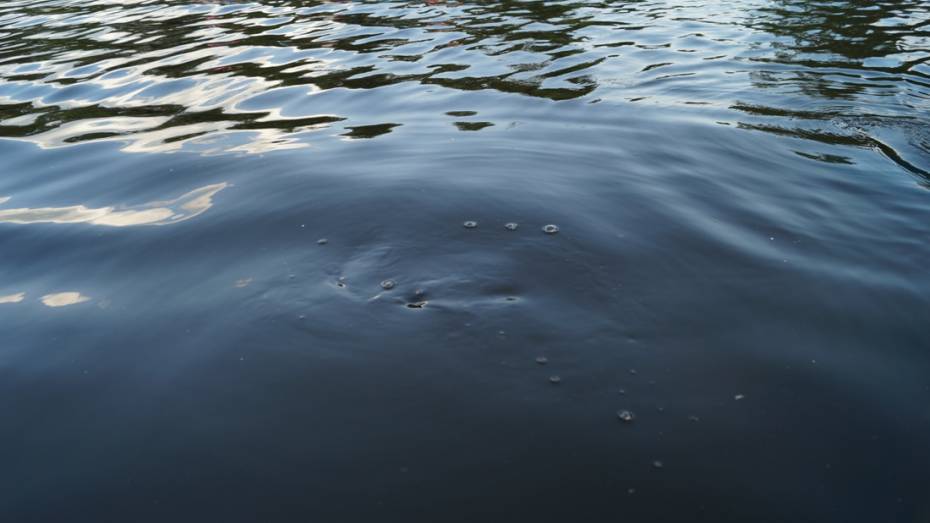 Отдыхающий на реке россошанец нашел утонувшего лискинца 