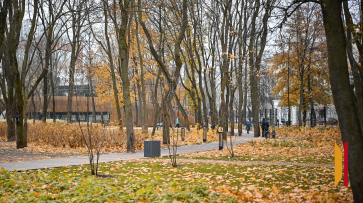 Температурный рекорд был вновь установлен в Воронеже