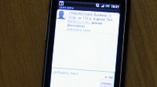 Воронежцы полторы сотни раз жаловались на смс-спам 