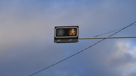 В Семилуках над аварийно опасным переходом установили световое табло 