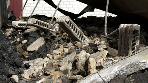 За ночь в пожарах в Воронежской области погибли двое мужчин