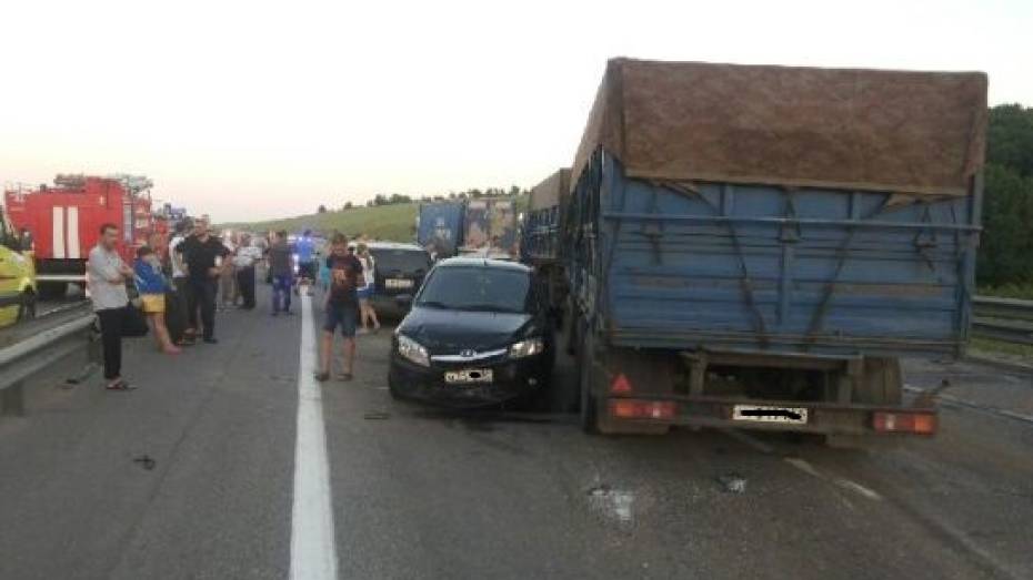 В Воронежской области погибли 2 человека в массовом ДТП на трассе М4 «Дон»