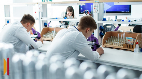 Воронежская область получит деньги на создание образовательных кластеров