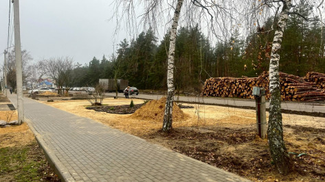 В Павловске завершили строительство тротуара протяженностью более 1 км по улице Лесной