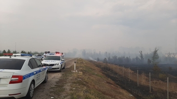 На Кожевенном кордоне под Воронежем сгорело 62 га леса