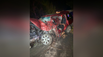 В Воронежской области Range Rover смяло после удара о дерево: водитель выжил