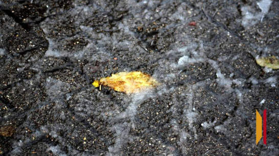 В Воронежской области снова ожидается туман и гололед