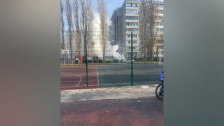 У лицея №8 в Воронеже загорелась машина: видео