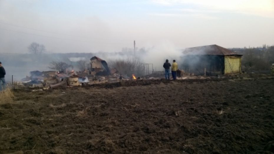 В Воронежской области из-за костра на огороде сгорели три дома