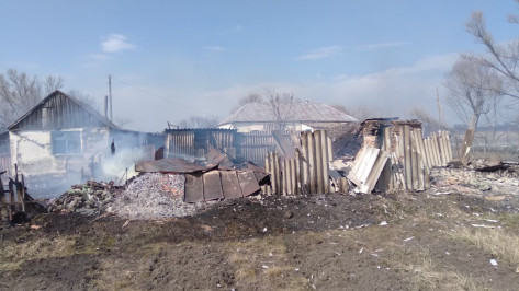 Ландшафтный пожар под Воронежем приблизился к жилым домам
