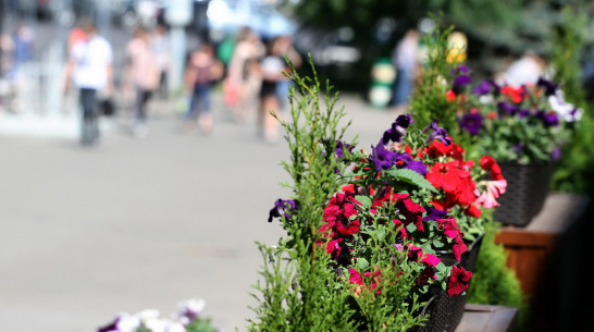Власти Воронежской области реализовали 135 проектов по поддержке местных инициатив