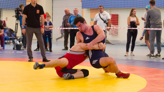Борцы из Воронежа завоевали 10 медалей на всероссийском турнире