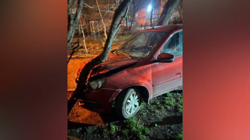 В Воронеже «Лада Гранта» врезалась в дерево