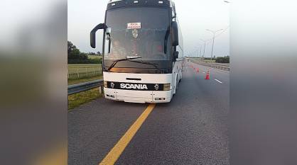 Воронежские инспекторы ДПС выручили 41 пассажира сломавшегося рейсового автобуса
