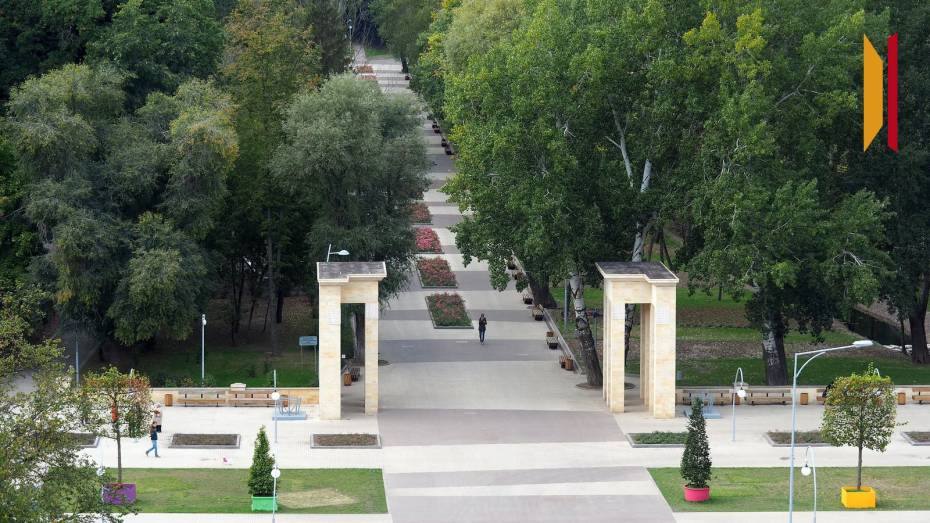 В Воронежском центральном парке рассадили нимфеи