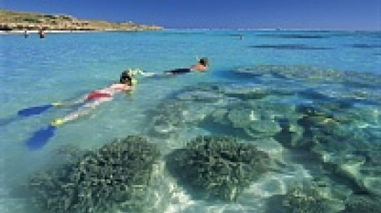 Турагентства Воронежа: в Египет едут отдыхать даже после угроз террористов   