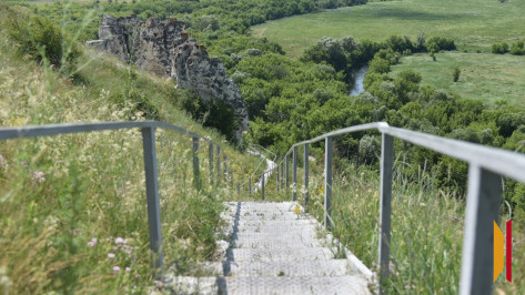 Электрички отвезут воронежцев на фестиваль «Ночь в Дивногорье»
