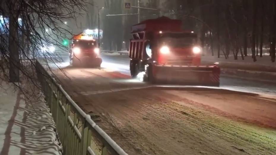 Из Воронежа за ночь вывезли около 3 тыс кубометров снега