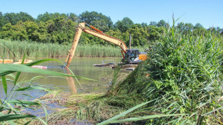 В Лискинском районе очистят заиленное русло и заросшие берега реки Икорец