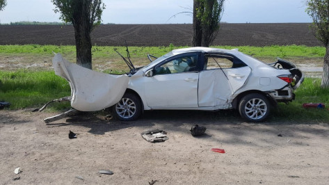 Водитель и пассажир Toyota Corolla погибли в аварии на 143 км трассы Воронеж – Луганск