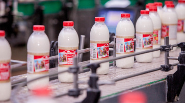 Воронежский «Молвест» обошел российские компании-гиганты по динамике переработки молока