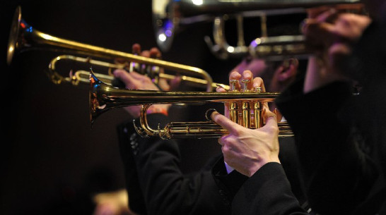 Луганский симфонический оркестр даст концерт в Воронеже