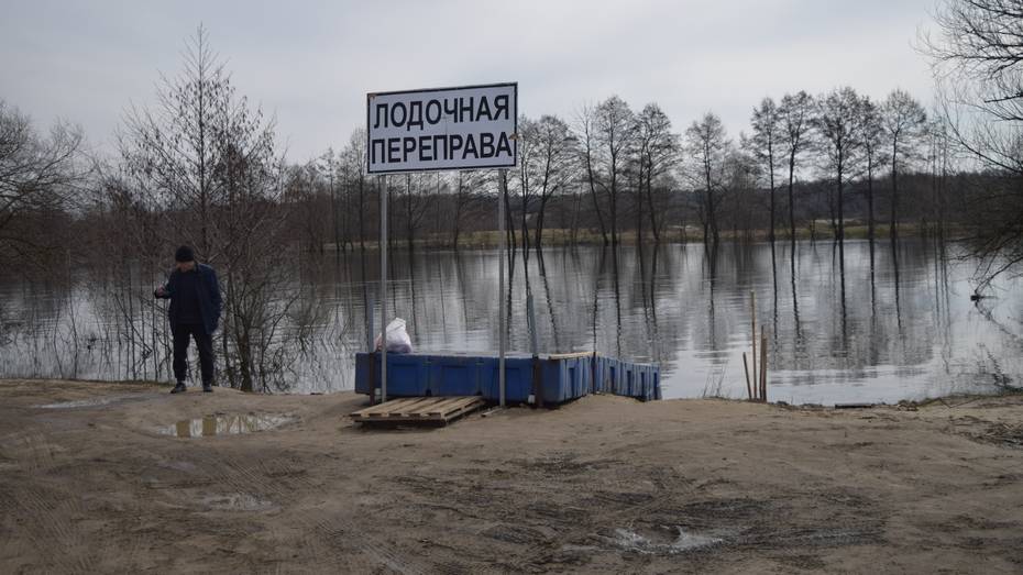 Под Рамонью закрыли лодочную переправу