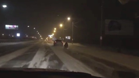 Воронежец на привязанных к авто санках проехал по трассе со скоростью 130 км/ч