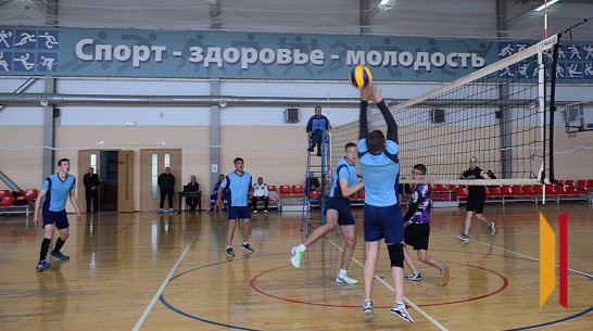 Турнир по волейболу памяти Анатолия Федосова состоится в Грибановке