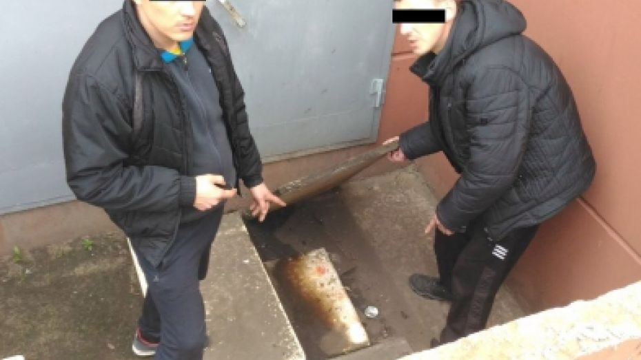 В Воронеже полиция поймала серийных воров автомобильных номеров 