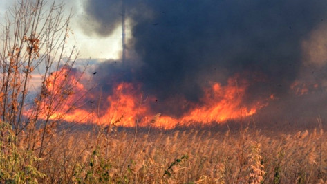 На Богучарщине потушили первые в 2016 году ландшафтные пожары