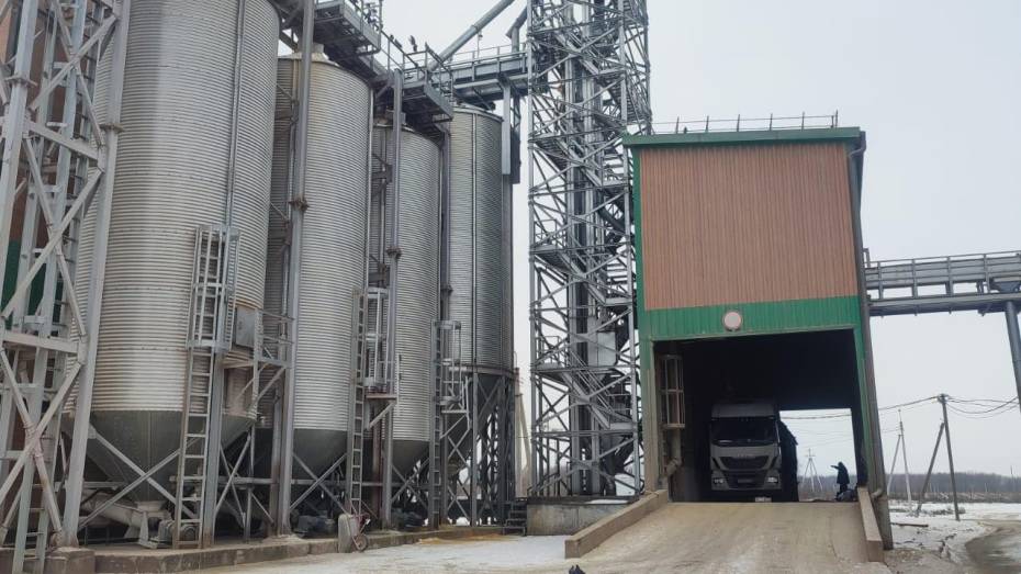 В воронежской компании «ЭкоНиваАгро» оптимизировали производство комбикорма