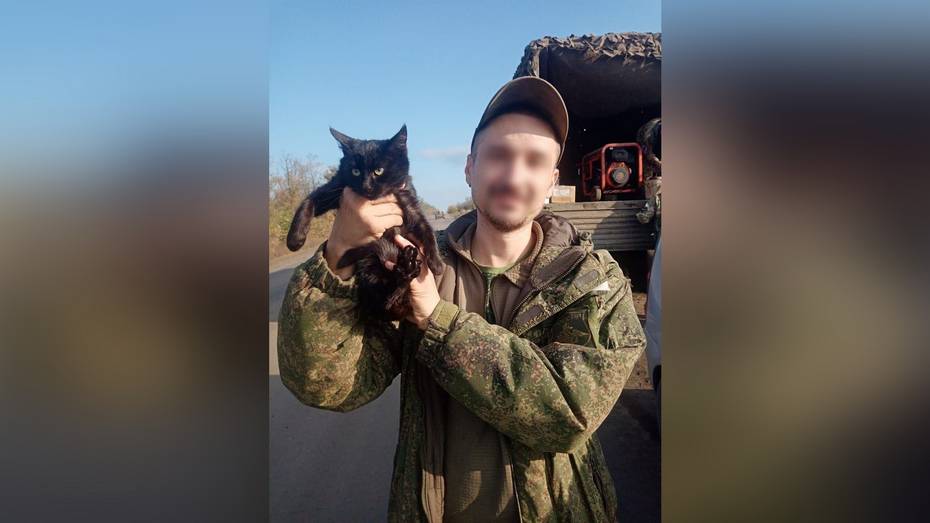 Волонтеры из Воронежской области передали танкистам СВО двух кошек-мышеловок