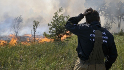 В Воронежской области особый противопожарный режим прекратится с 20 октября