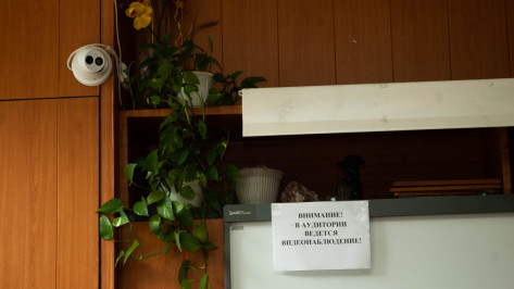 В Воронежской области ЕГЭ по химии на 100 баллов написали 14 человек