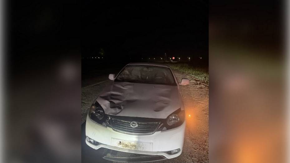 Под Воронежем автомобиль Daewoo насмерть сбил стоявшего на проезжей части пешехода