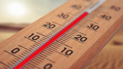 Штормовое предупреждение объявили в Воронежской области из-за 38-градусной жары