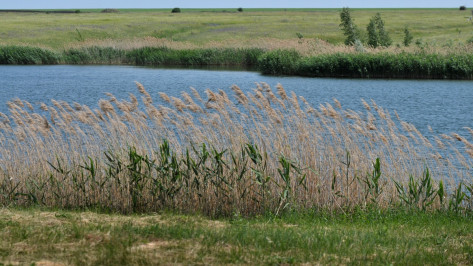 Тест РИА «Воронеж». Известны ли вам необычные факты о Воронежской области 