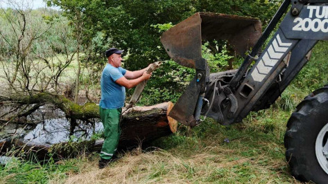 Острогожские коммунальщики устранили затор на реке Тихая Сосна
