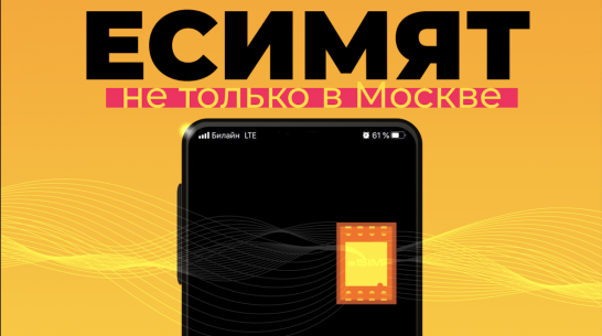 Билайн начал подключать воронежцев к виртуальным SIM-картам