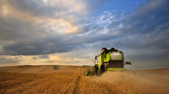 Участники воронежского конкурса «Правила роста» займутся аграрными инновациями