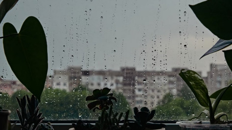 Выходные в Воронеже будут теплыми и пасмурными