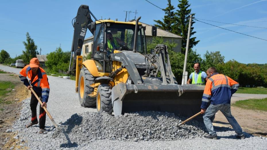 В Нижнедевицком районе на ремонт 14 сельских дорог выделили 17 млн рублей