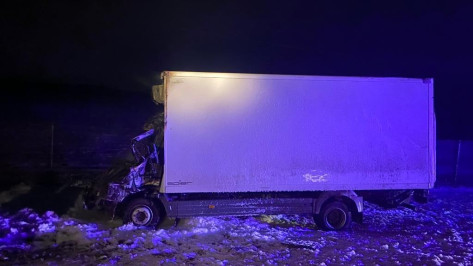 В Воронежской области в столкновении грузовиков погиб 43-летний мужчина