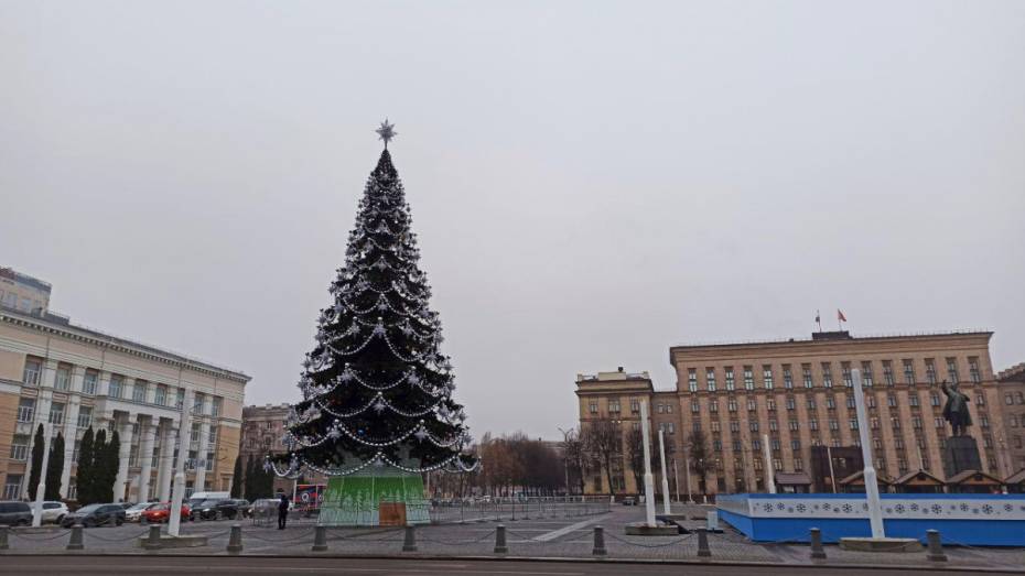 Правительство Воронежской области разыграет билеты на губернаторскую елку