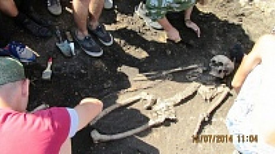 Бутурлиновские школьники откопали древнее сарматское захоронение
