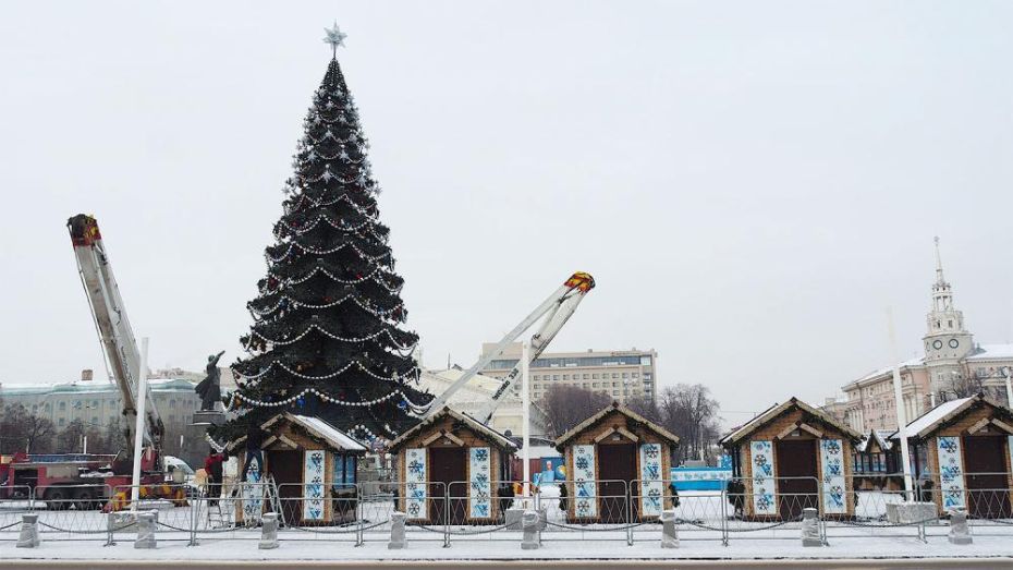 Установку главной новогодней елки в Воронеже сняли на видео