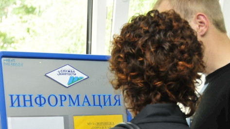 Власти Воронежской области найдут работу для 65 тыс человек в 2015 году