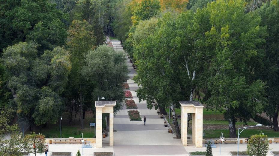 Горожан пригласили к участию в разработке реконструкции Воронежского центрального парка