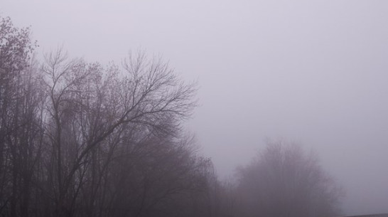 Туман провисит над Воронежем минимум до вторника